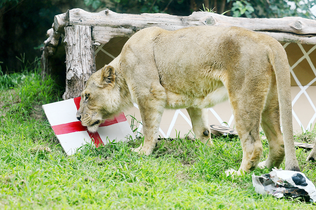cover England seek to exorcise demons in World Cup opener v Croatia
