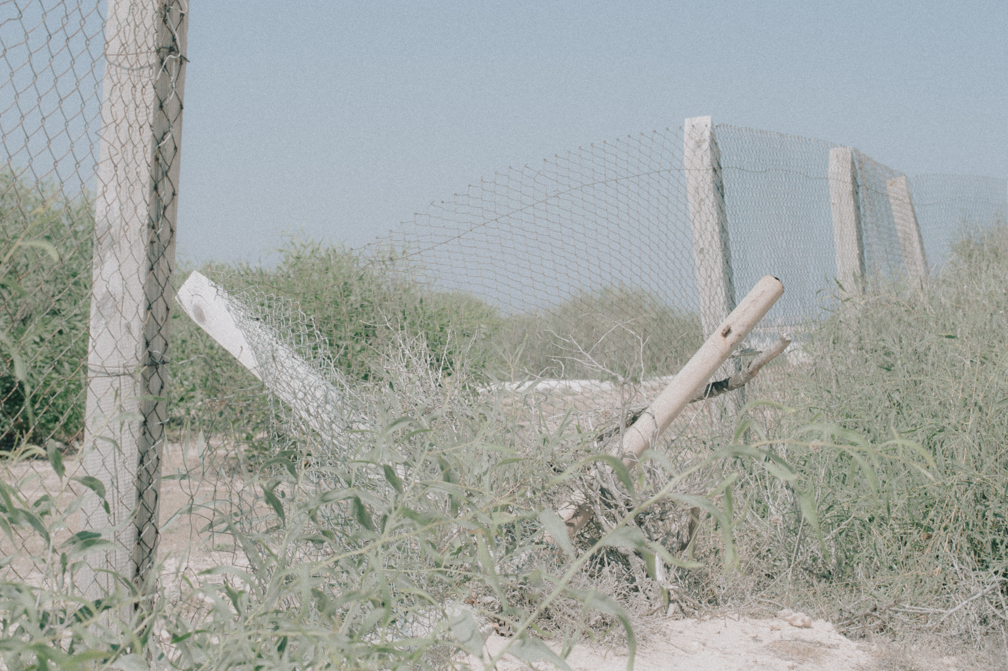 cover When grief brings you home to Cyprus