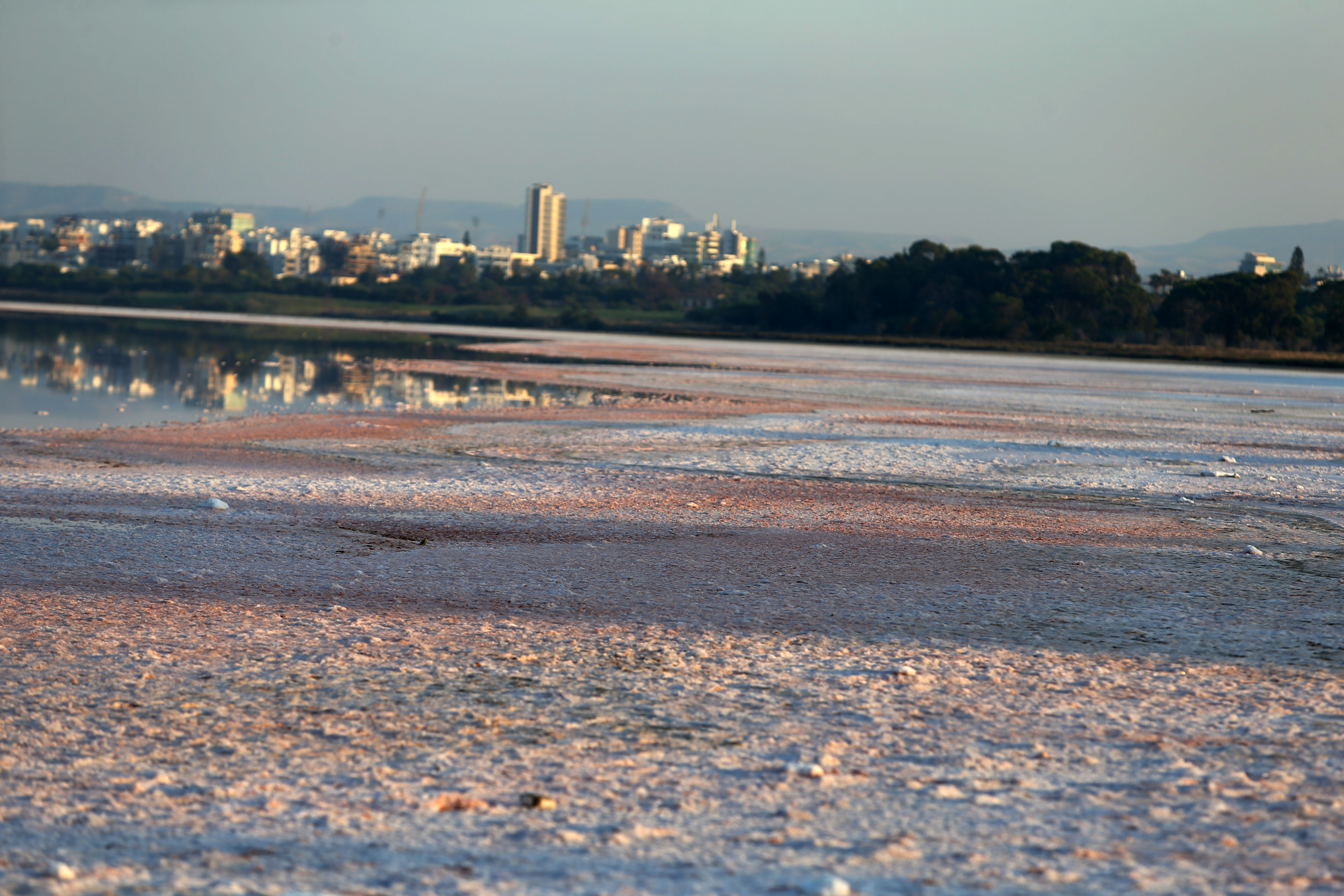 cover Larnaca Salt Lake turns pink