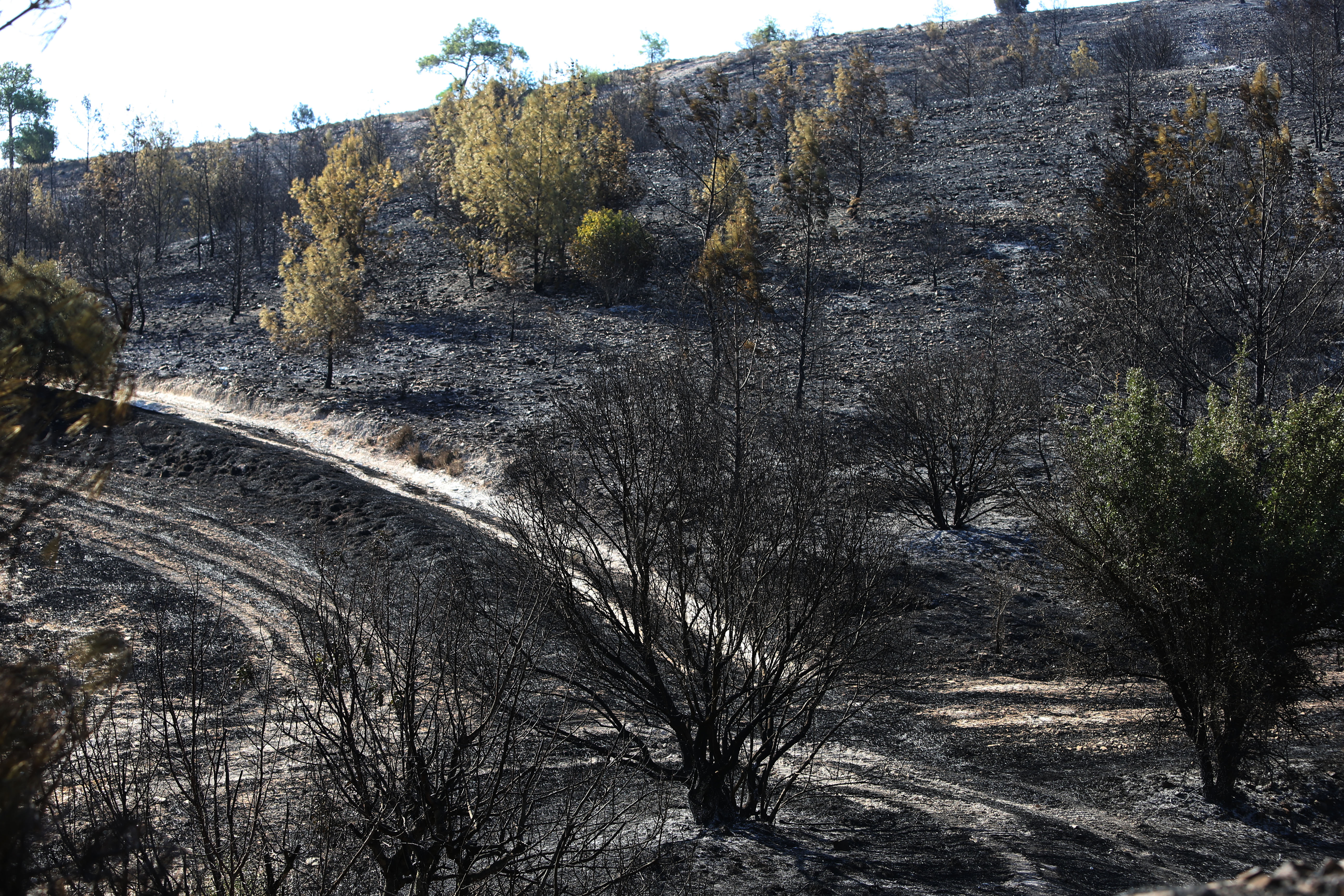 cover Criminal investigator appointed to look into Kalo Chorio fire