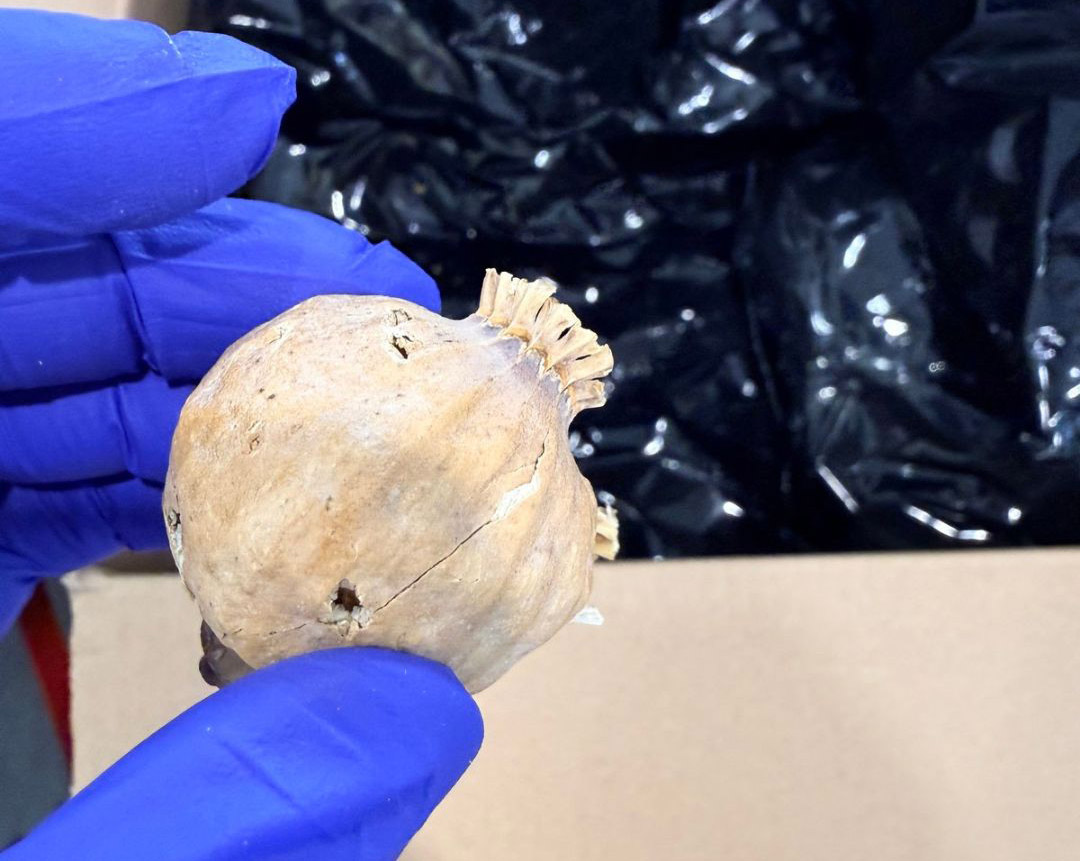cover Police bust opiate trafficking ring