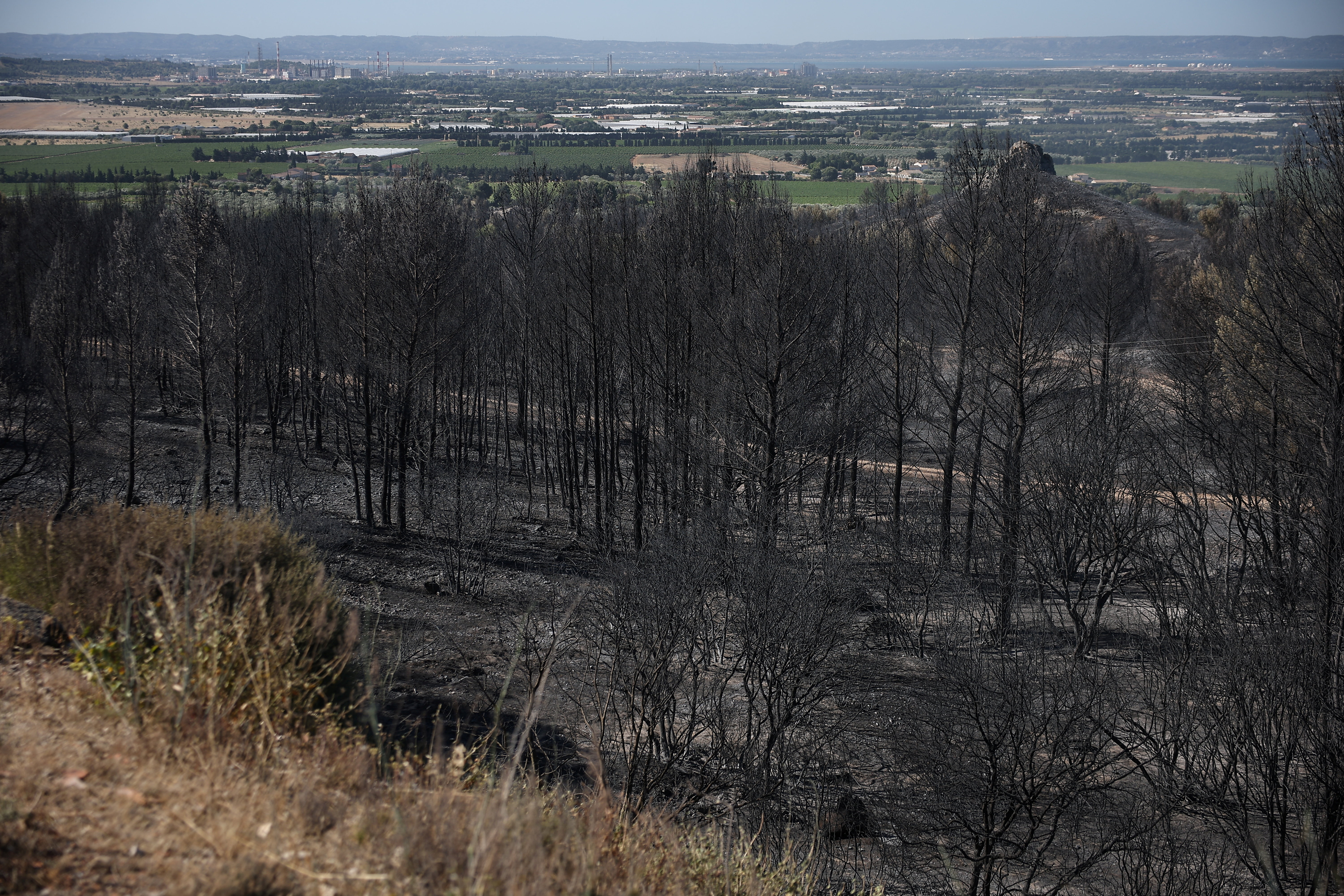 image Firefighters battle blazes in southern France after European heatwave