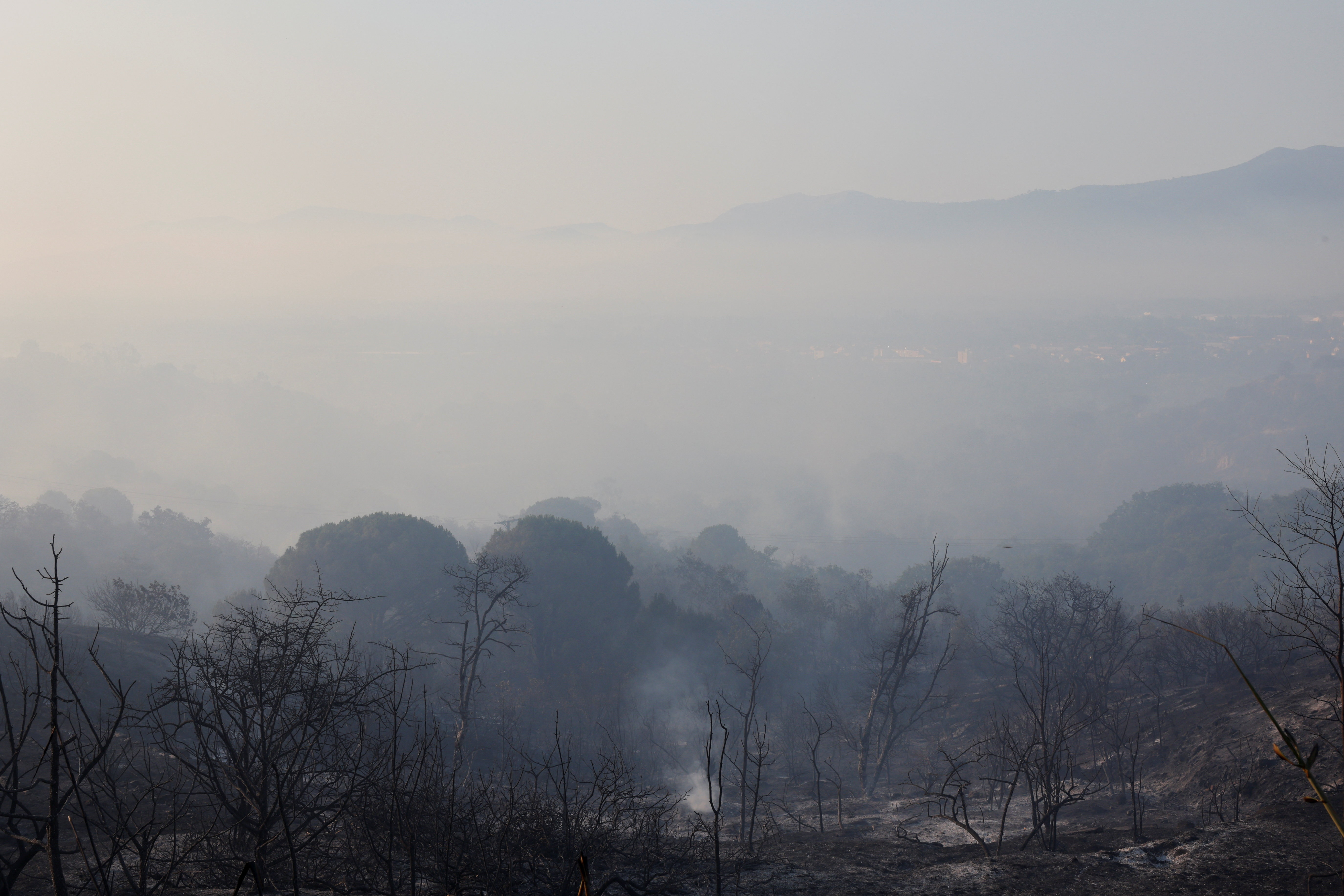 cover Thousands evacuated from homes in southwest France as wildfire burns
