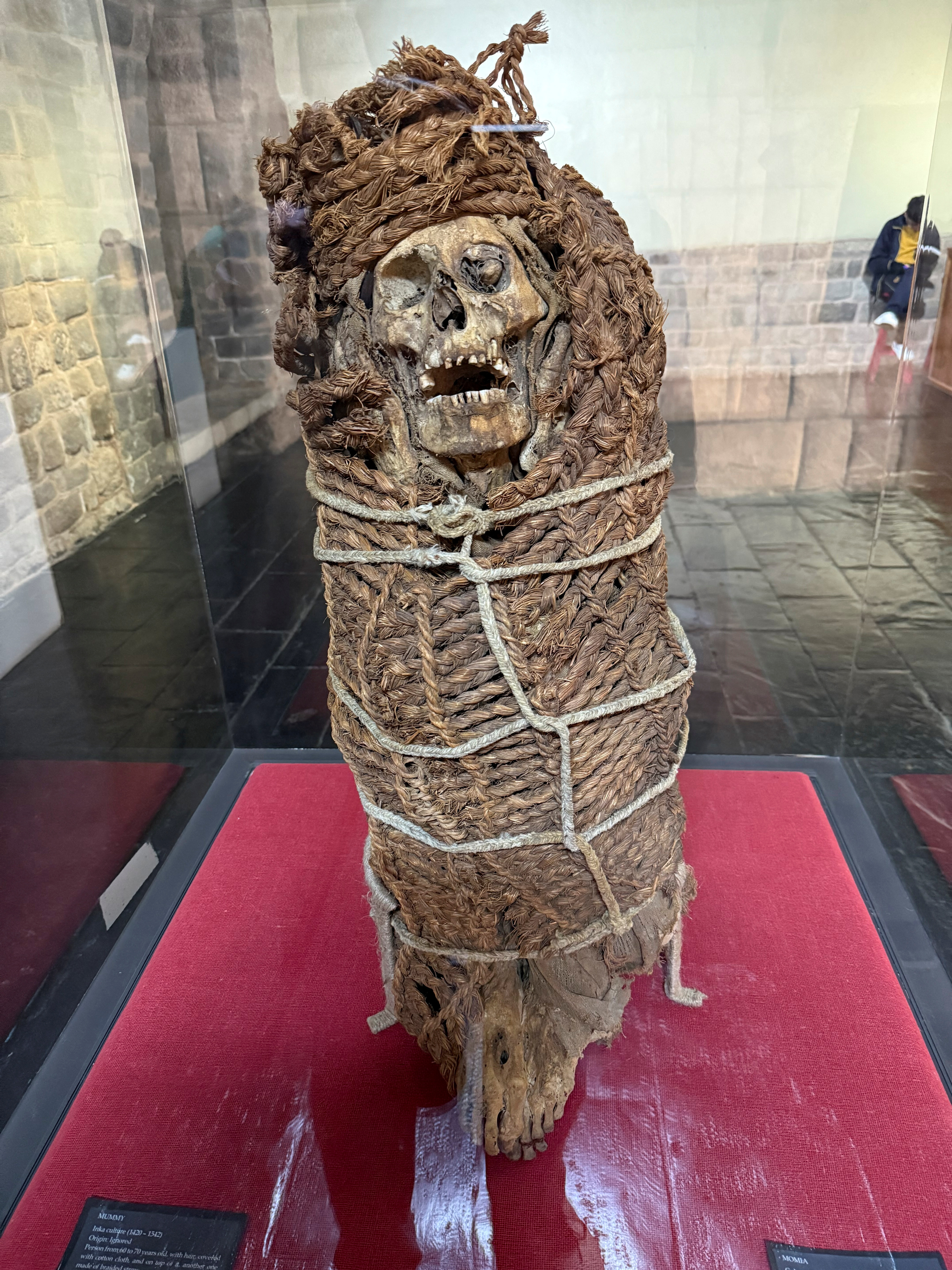 cover Smallpox DNA is recovered from Spanish conquest-era Chilean mummies
