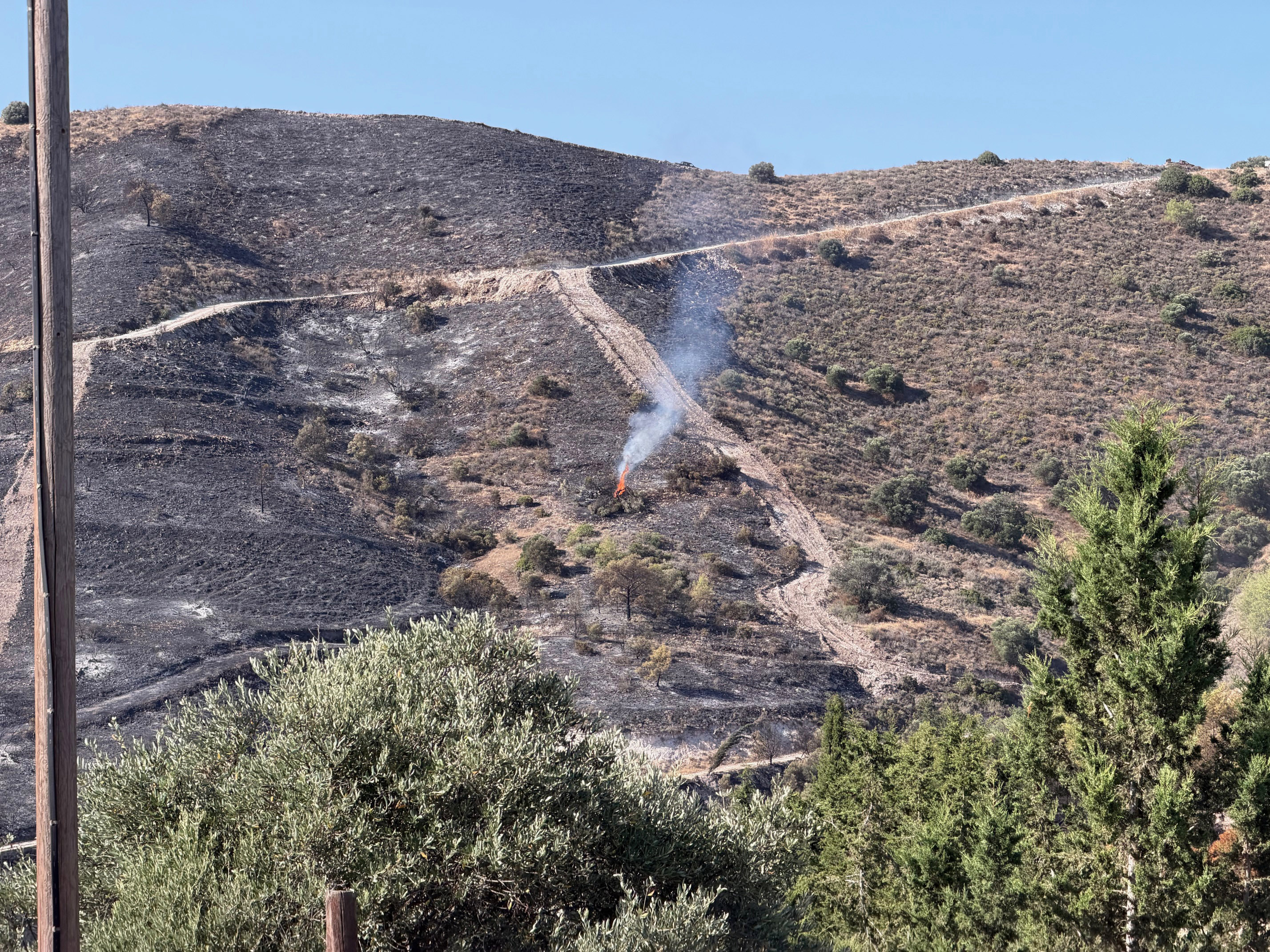 cover Ayia Anna blames defence ministry for wildfire