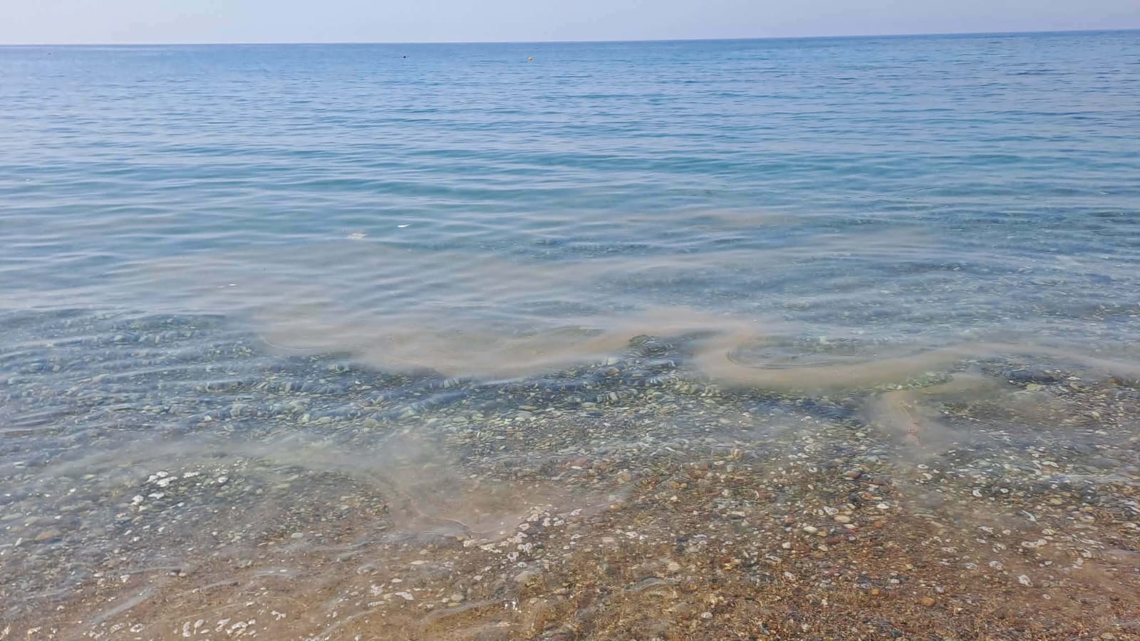 cover Investigation launched after sewage reported at Timi beach