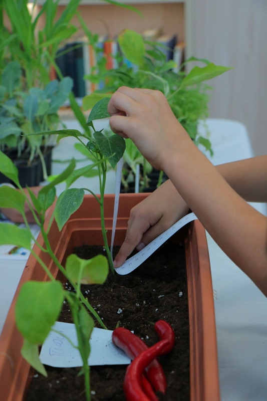 Frederick University 'ΟRA Explorer Day' provides discovery, creativity to 6-12-year-olds