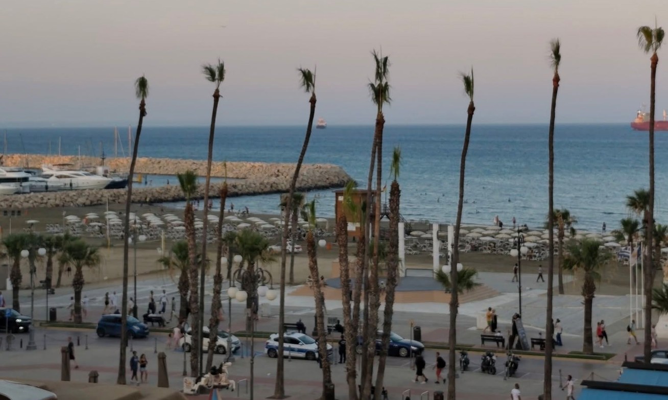 cover Concerns raised after heavy pruning of historic Larnaca palm trees