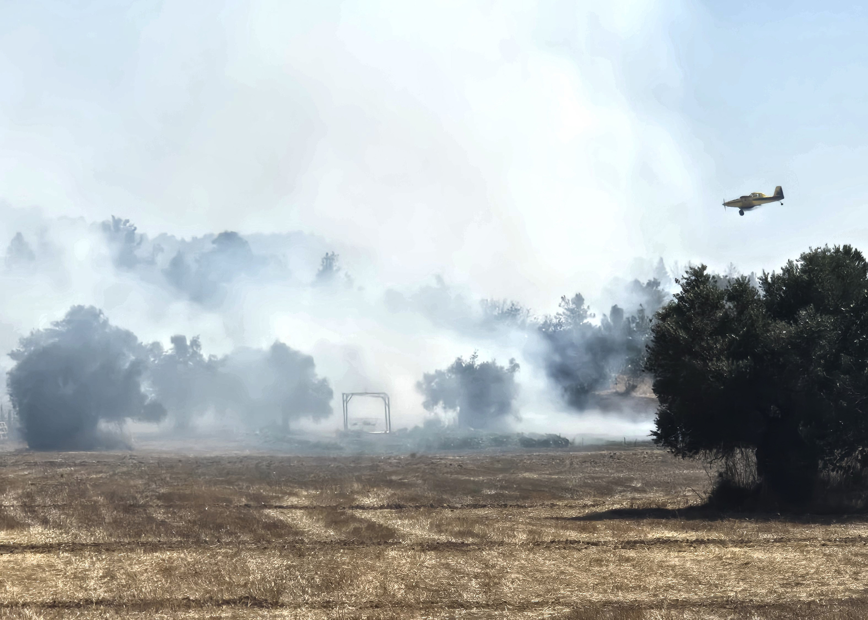 image Red alert issued for forest fire risk tomorrow