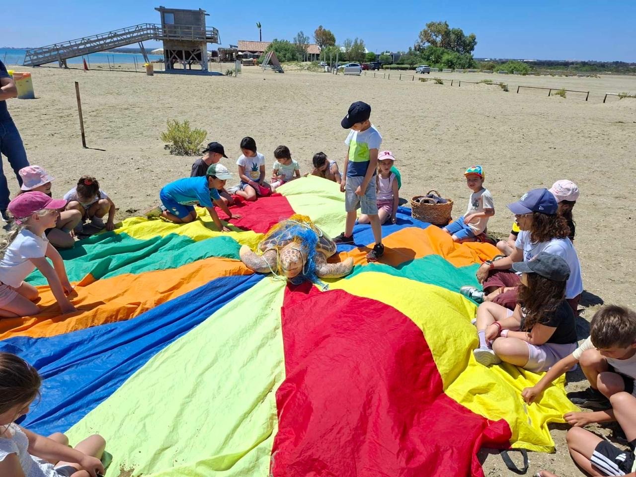 cover Students discover Akrotiri&#8217;s wildlife through hands-on environmental learning