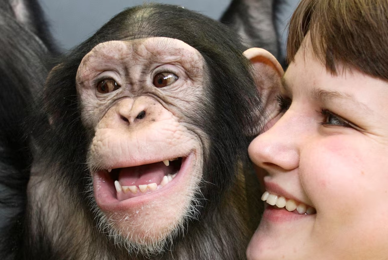 cover Humans and great apes show similar rhythmic pattern in laughter