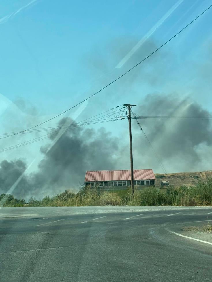 cover Ergates fire brought under control after burning seven hectares