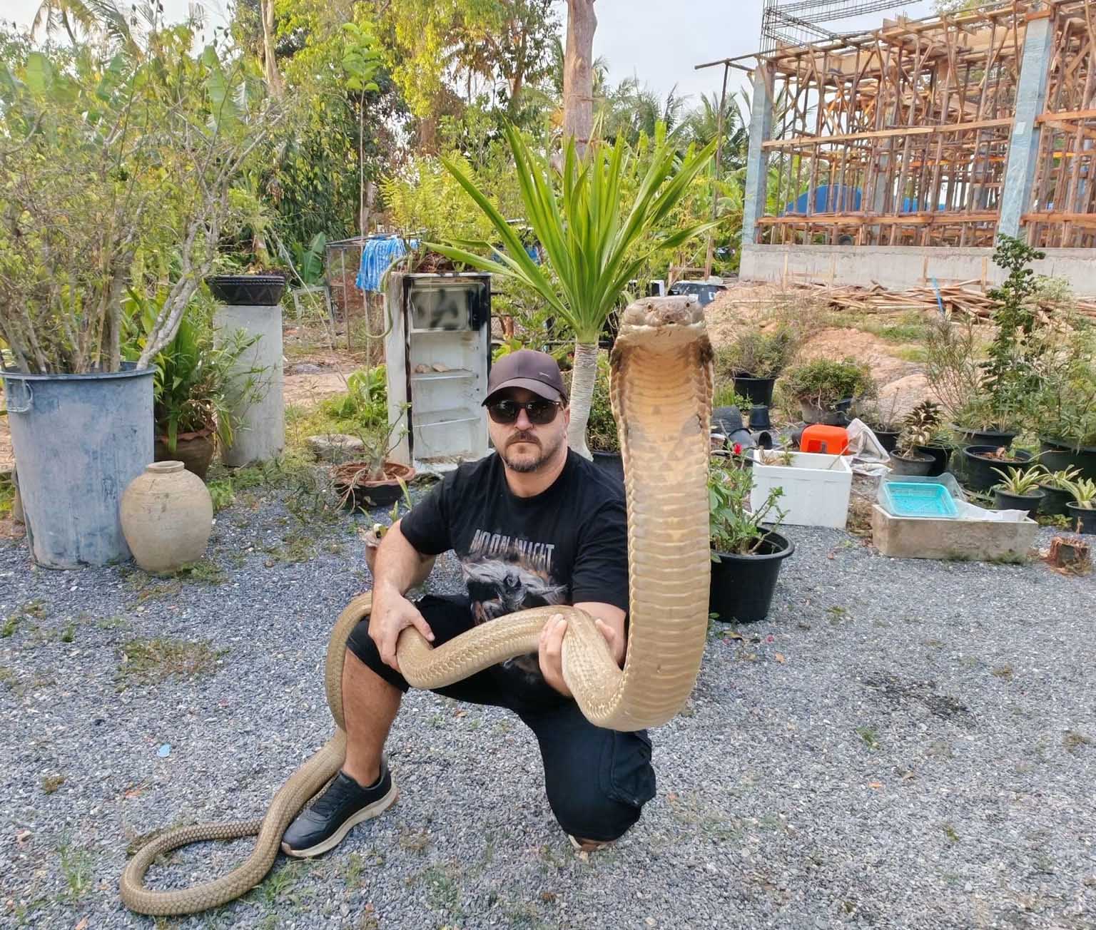 image The Cypriot snake charmer: I know their body language