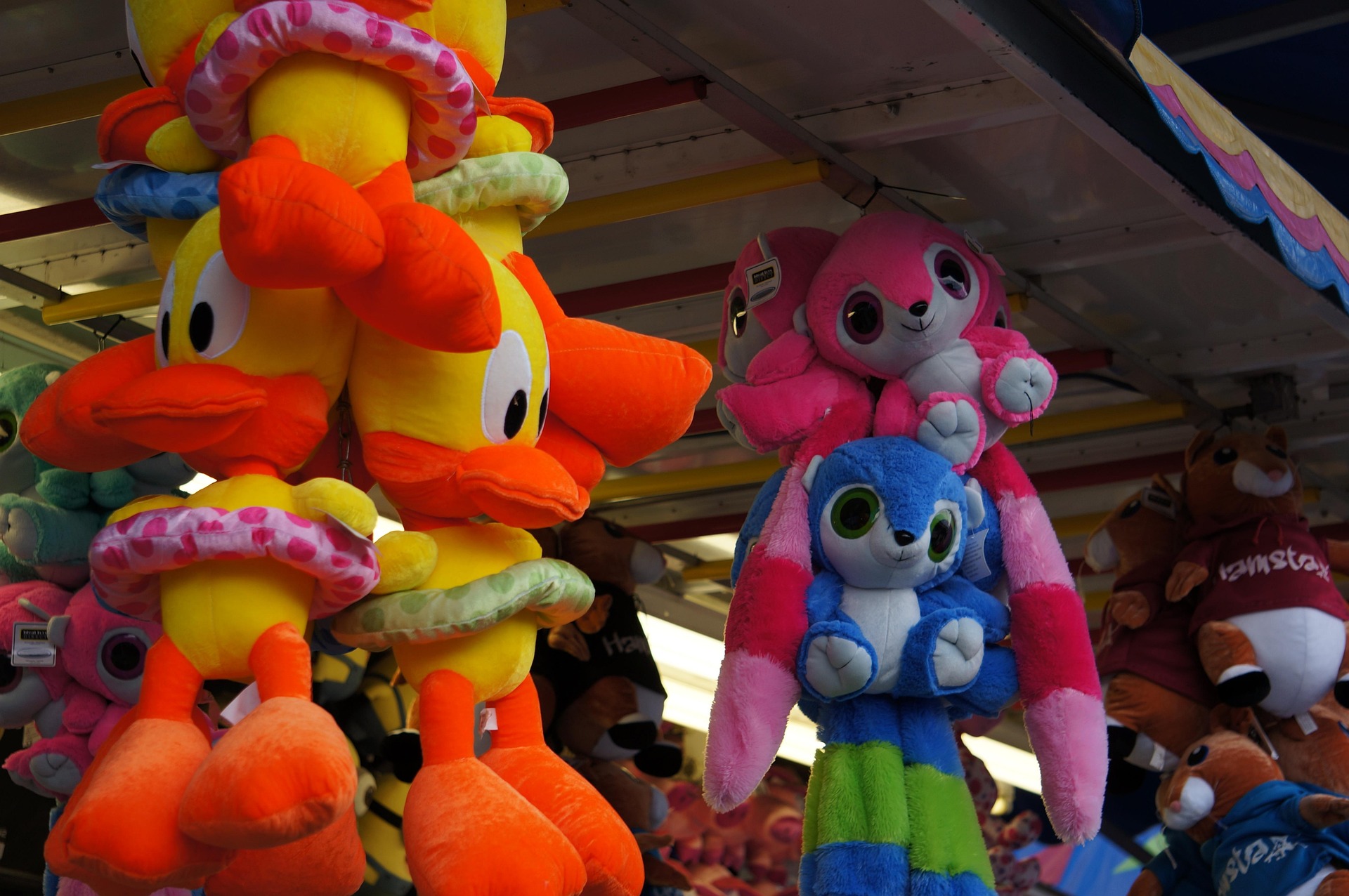 cover NGO calls for ban on live animal prizes