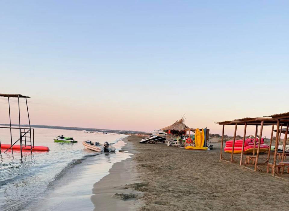 cover BirdLife Cyprus and Terra Cypria raise concerns over Lady’s Mile beach