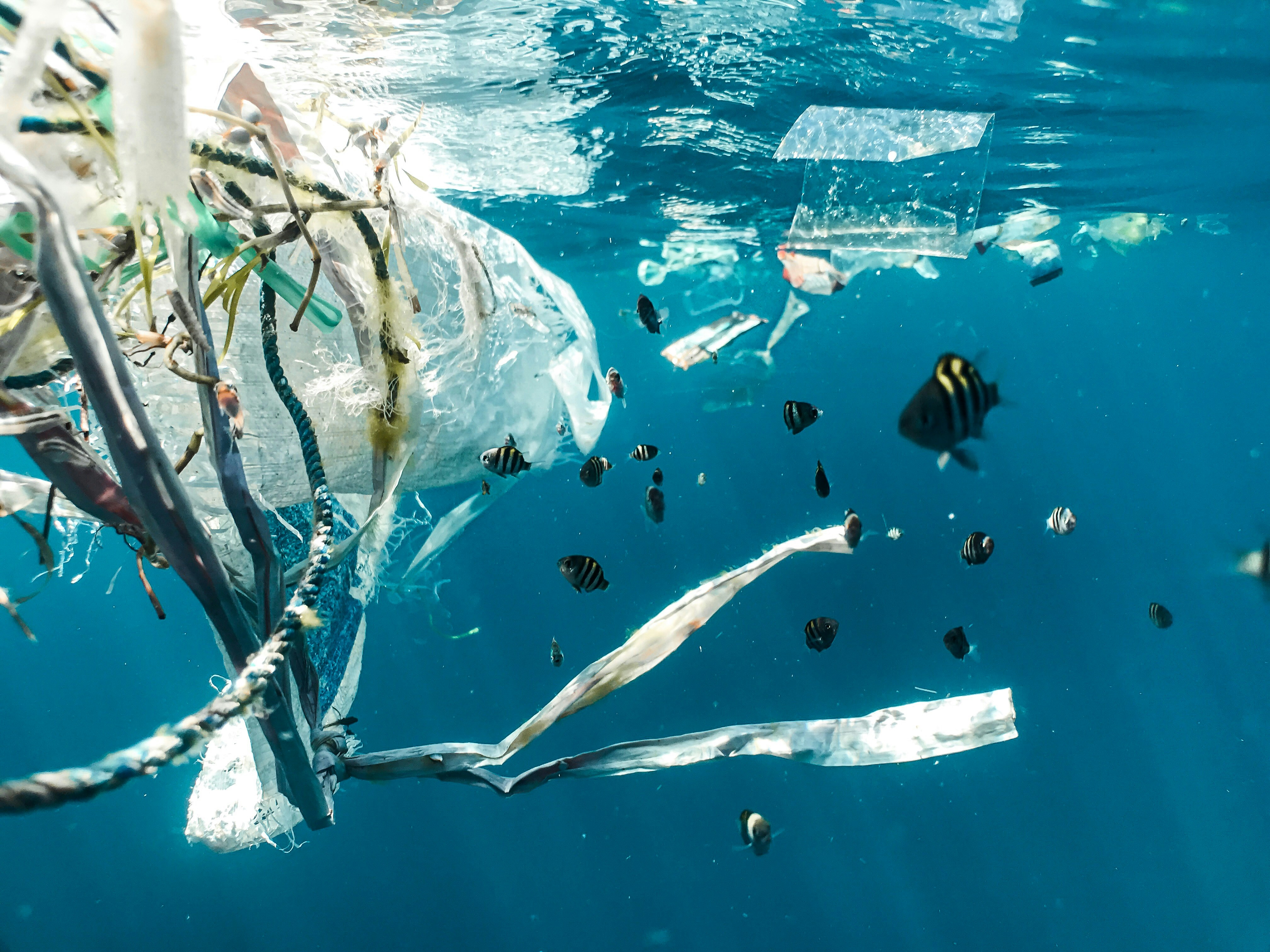 cover Forever chemicals and single-use plastics: What the EU&#8217;s new rules mean for Cyprus