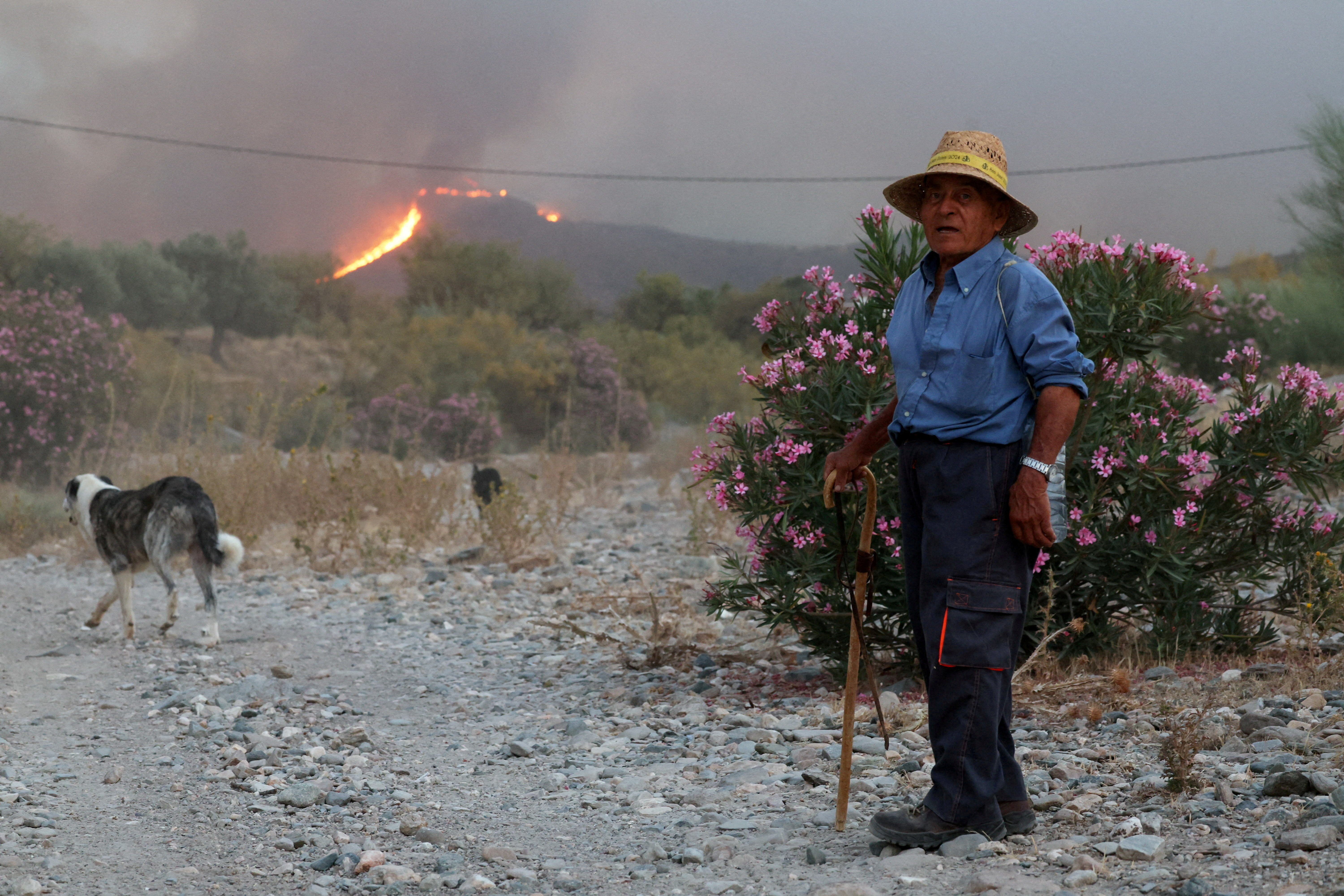 cover Spanish firefighters turn to the offensive against deadly Almeria blaze