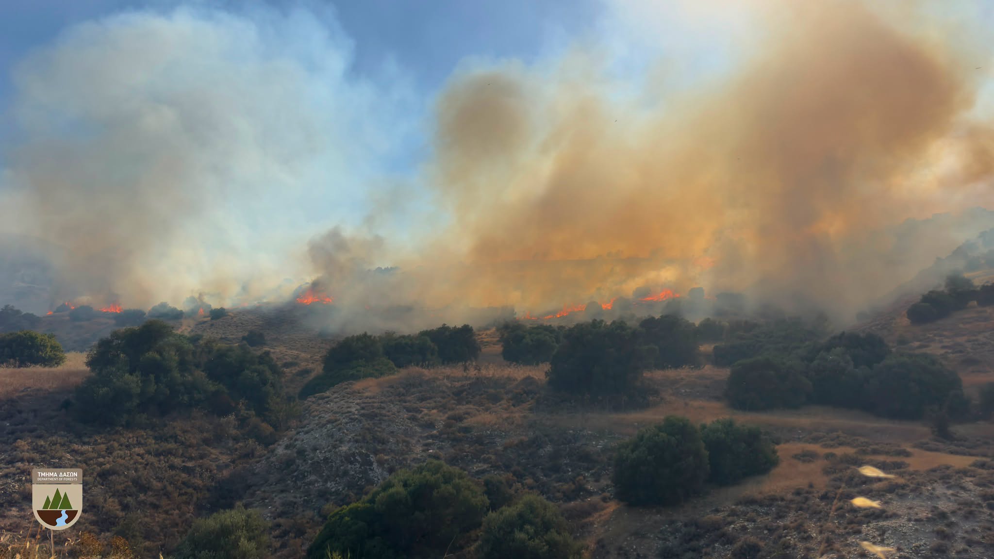 cover Palmas says ‘no active front’ in Kalo Chorio fire, police reopen Psevdas road