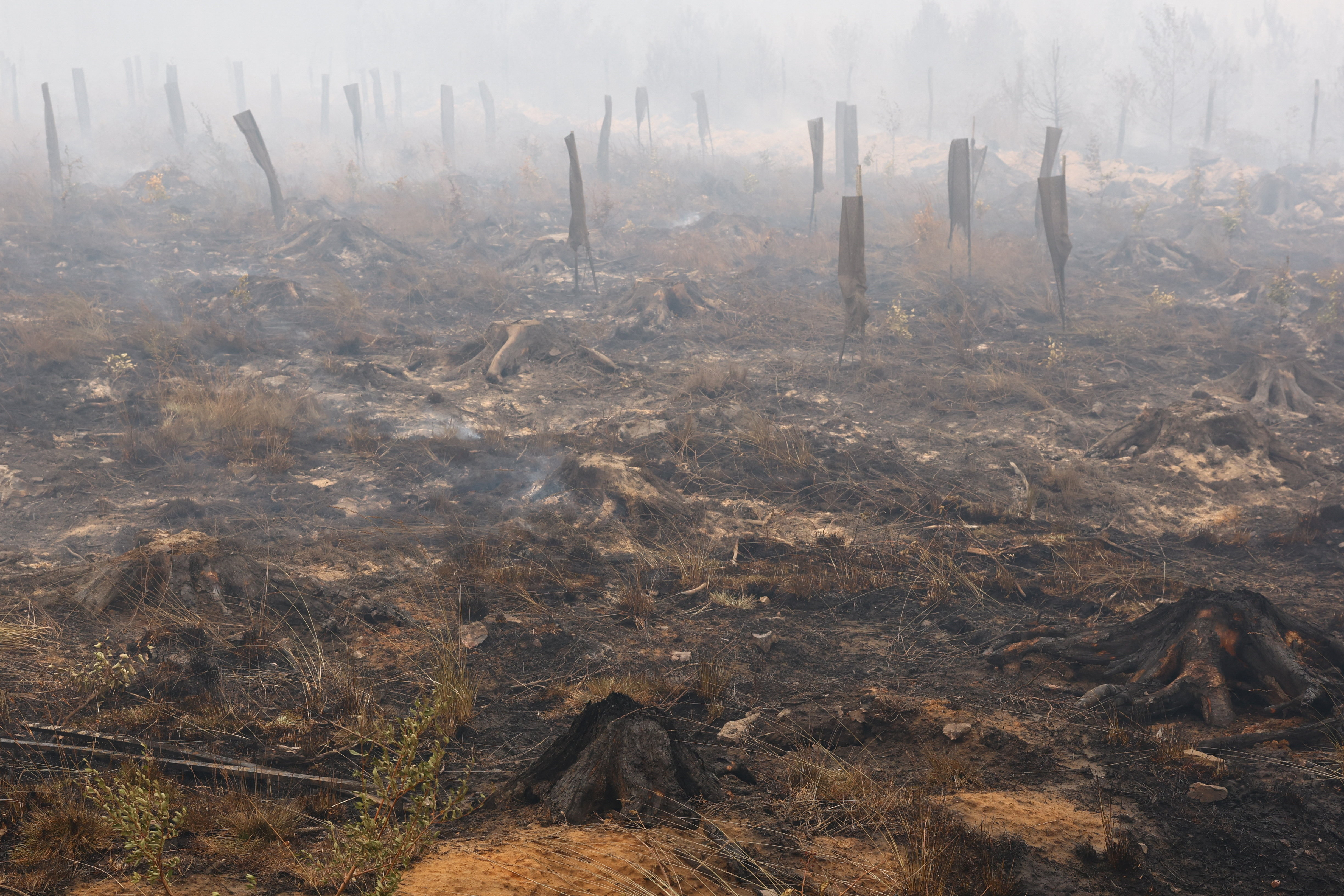 cover Belgium&#8217;s biggest wildfire on record heads towards Germany