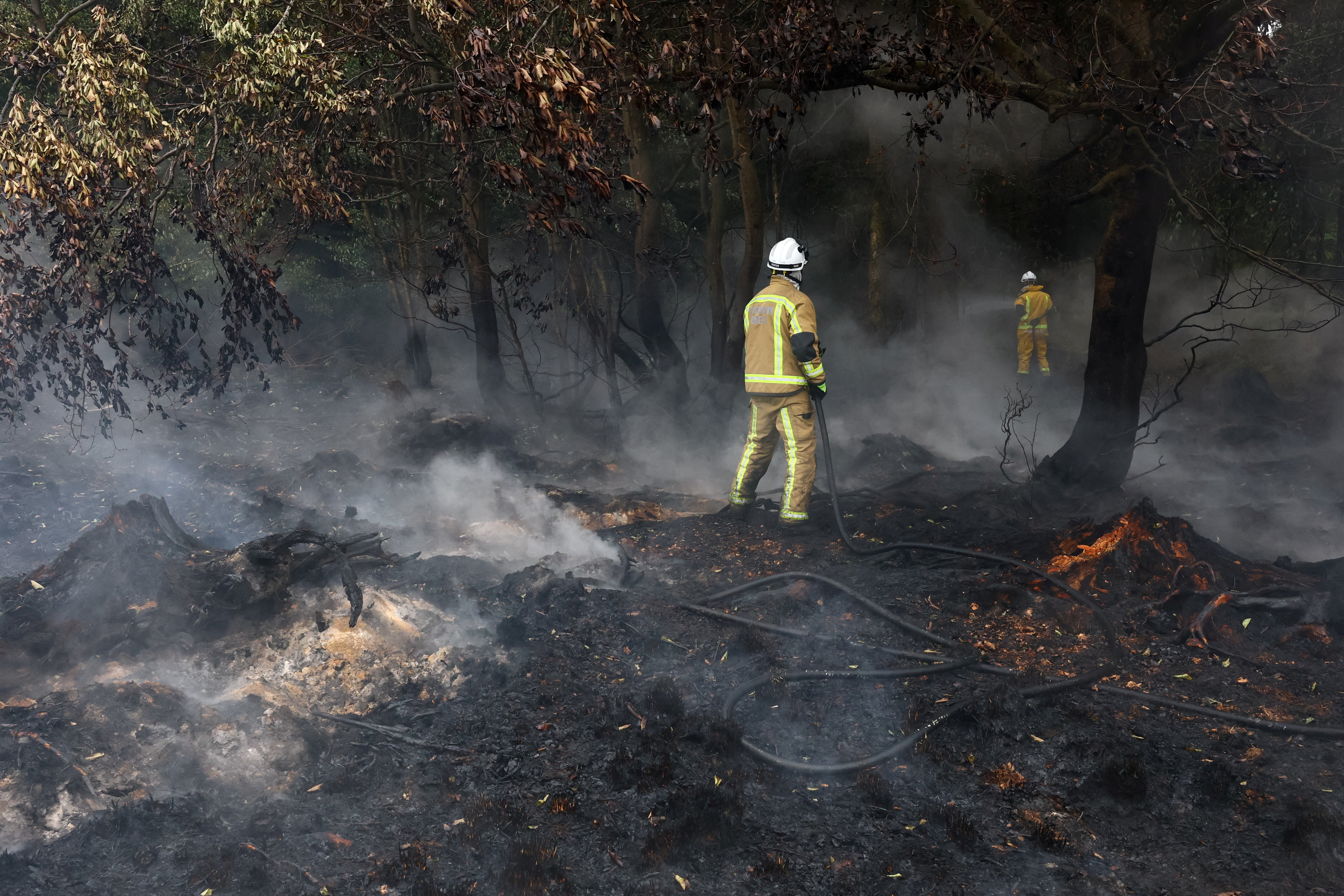 cover Rain aids fight against Belgium’s biggest wildfire on record
