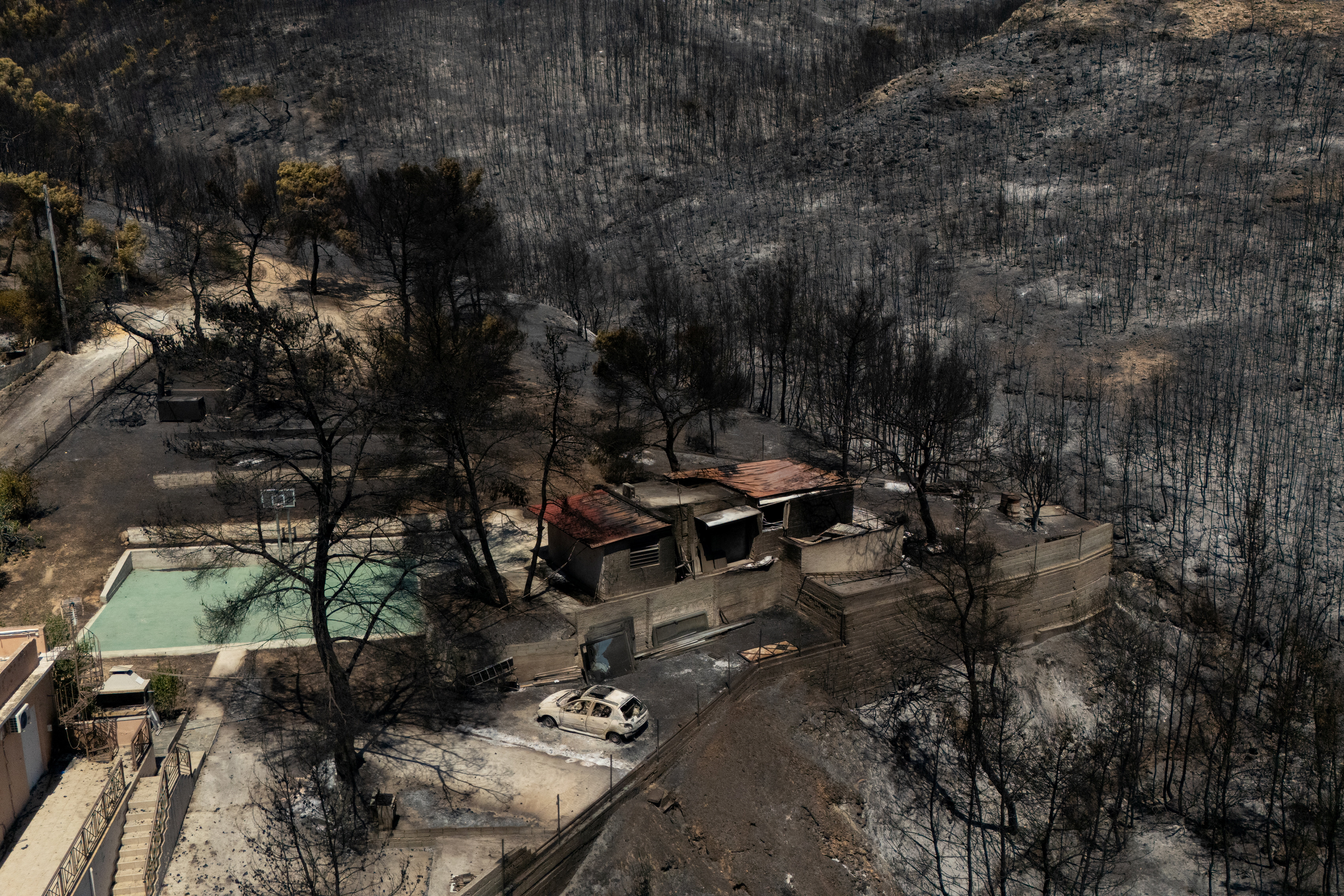 cover Devastating Greek wildfires stoke fear of faulty power lines