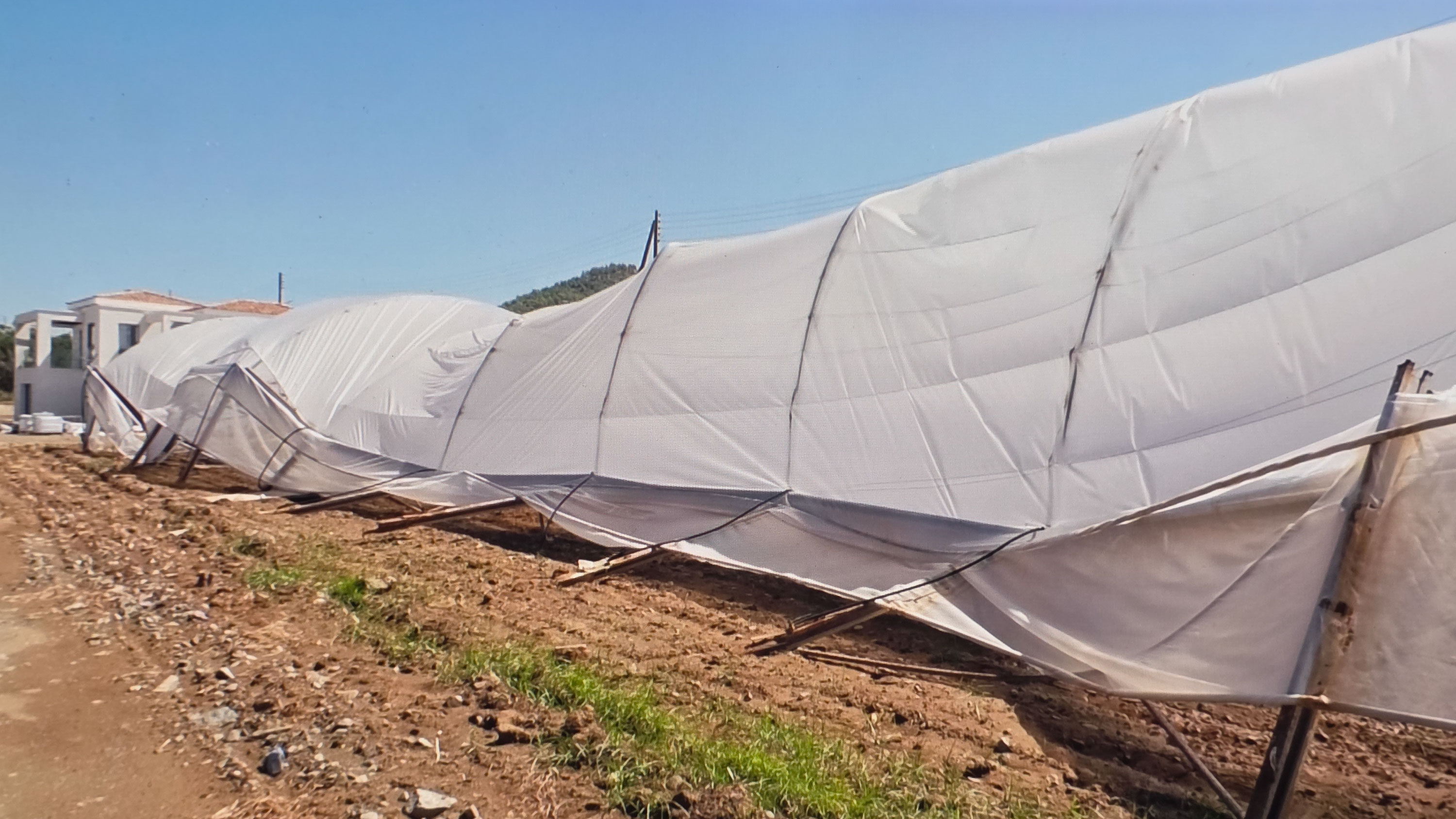 cover Inspectors assess storm damage to crops