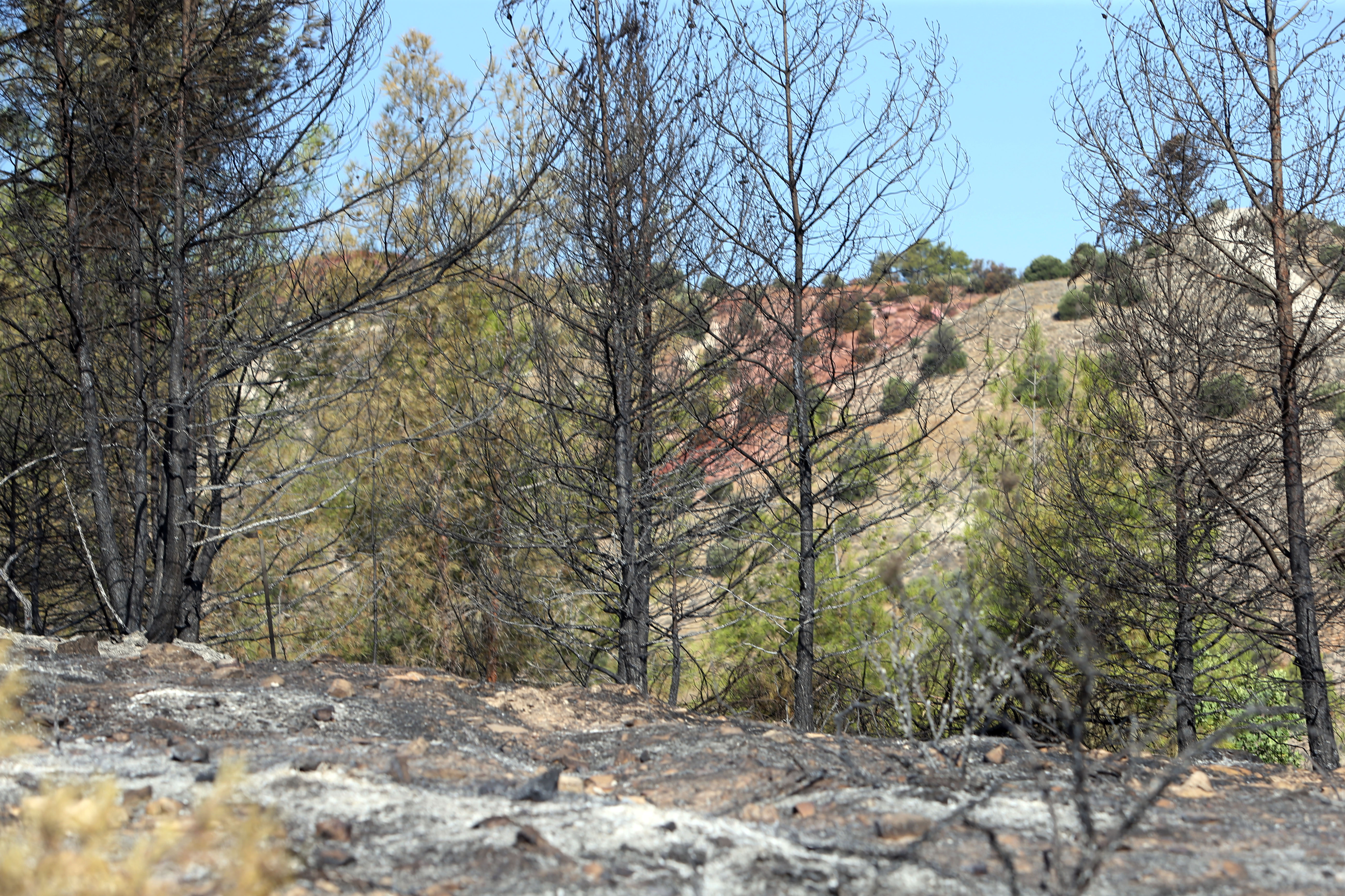 cover No criminal liability reportedly found in firing range fire probe