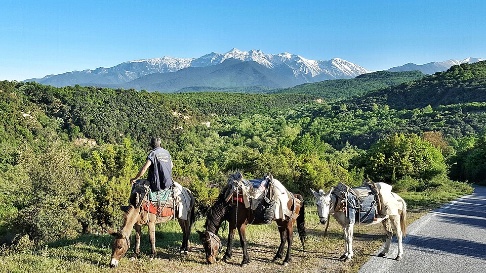 cover Five Cypriot climbers to ascend Mount Olympus for children with cancer