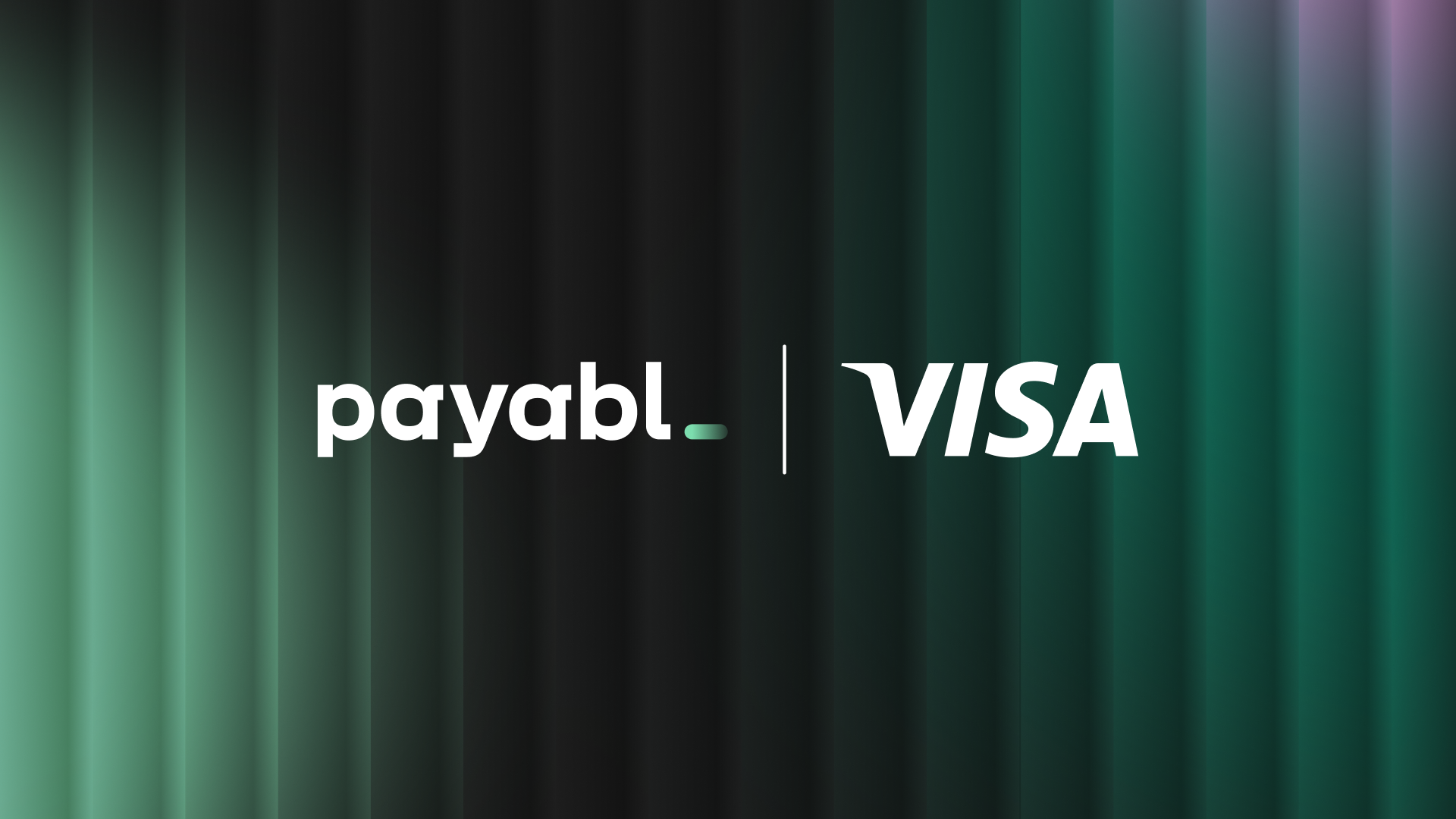 cover Fintech firm payabl. teams up with Visa to help merchants cut chargebacks
