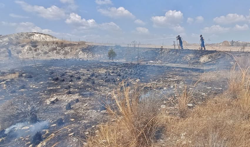 cover Rizoelia fire put out before spreading