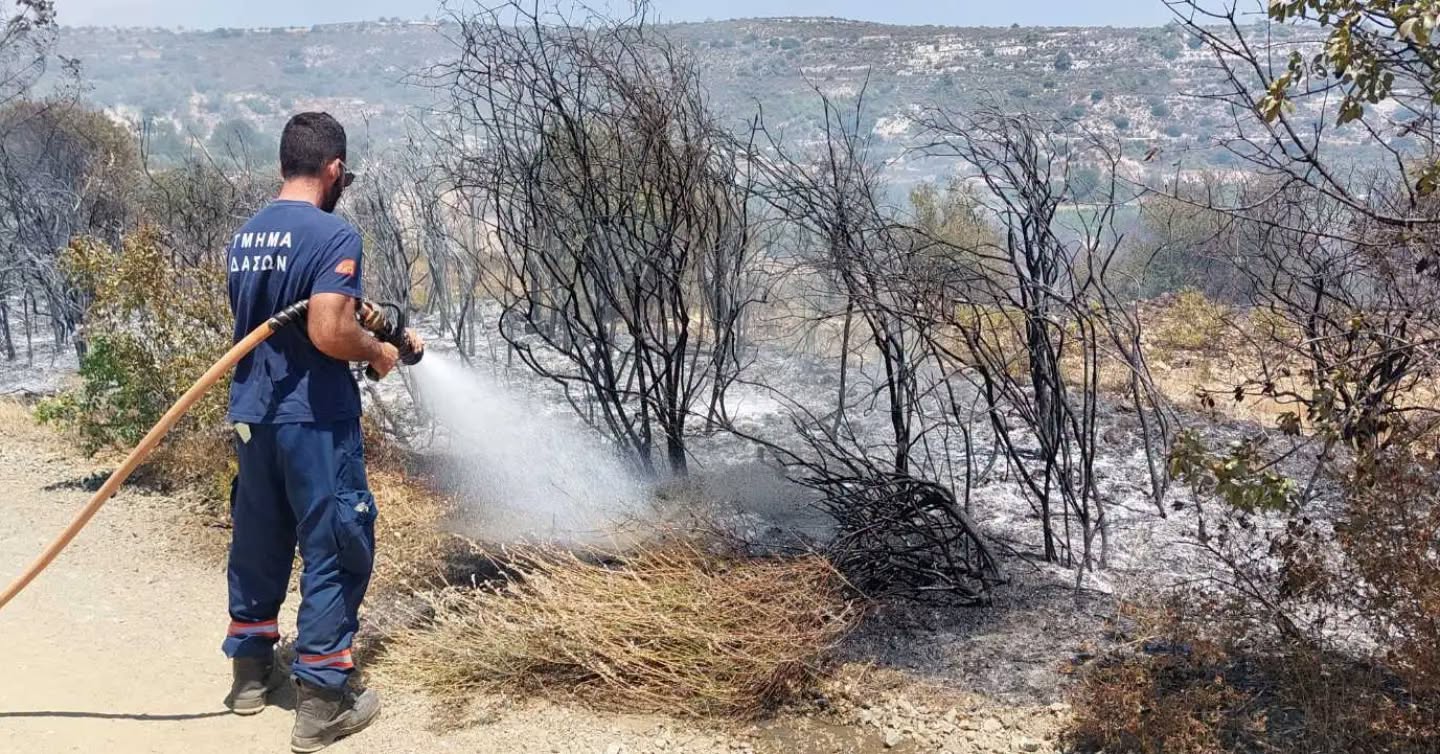 cover Effects of forest fires could last centuries