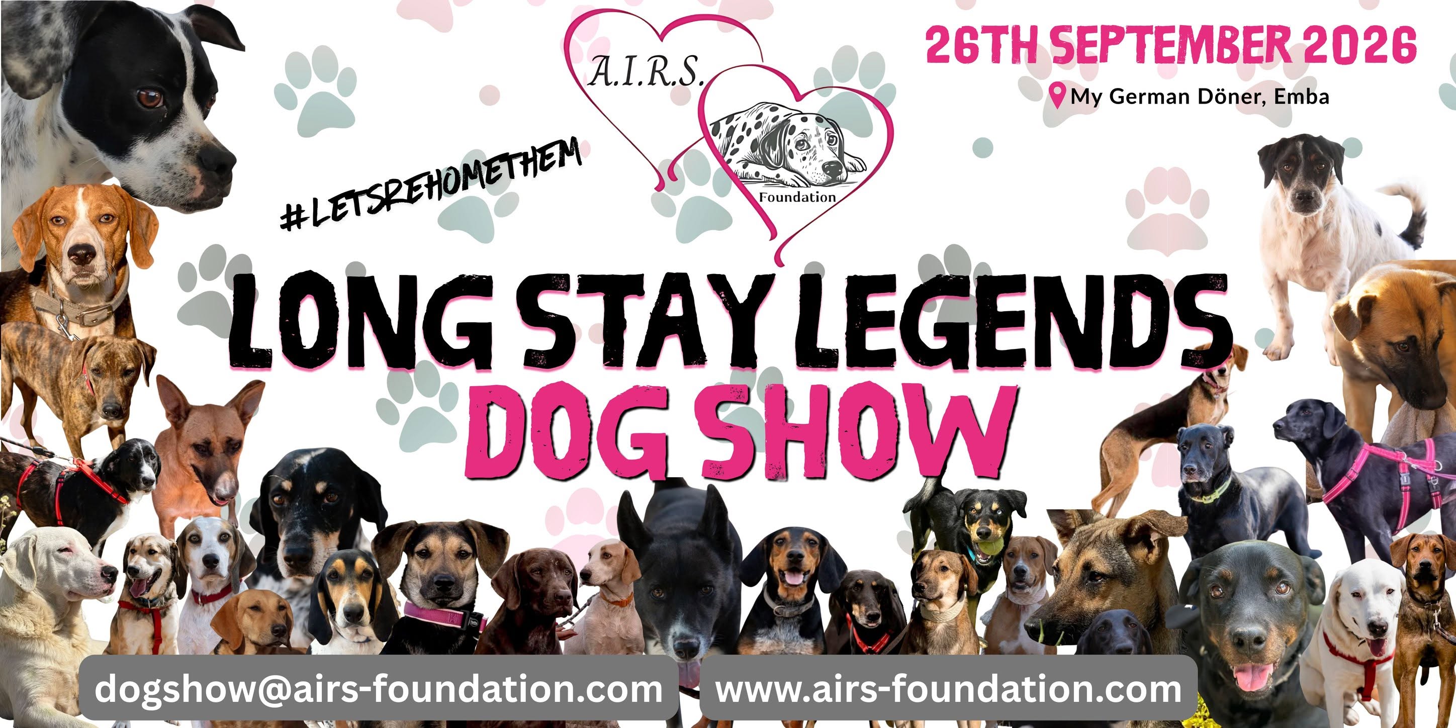 cover Meet Cyprus’ long-stay shelter dogs in Paphos