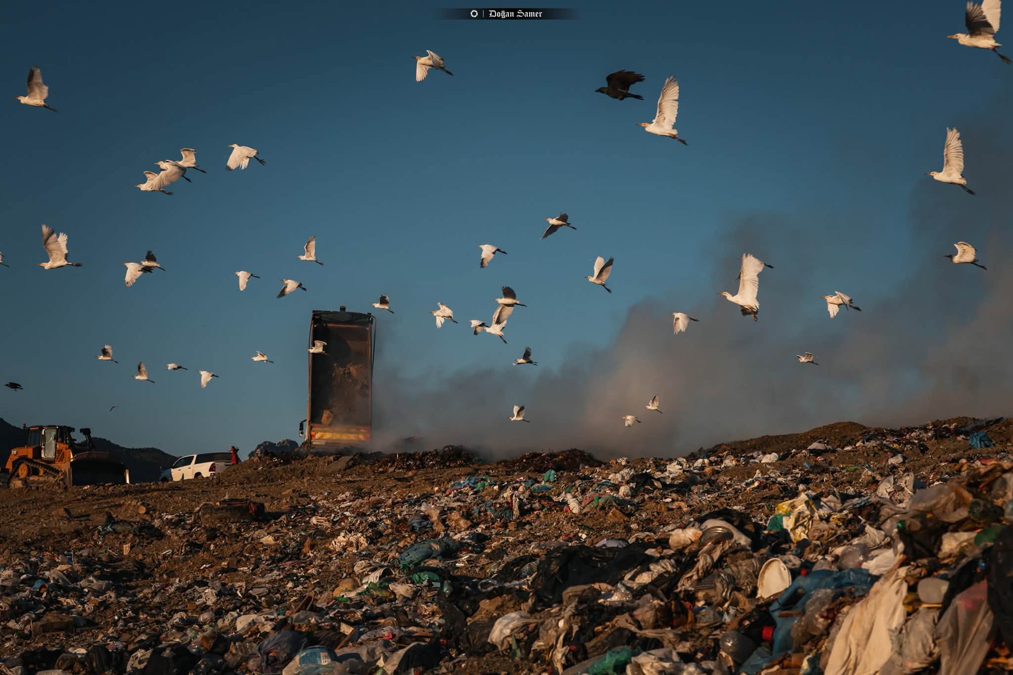 cover Landfill fire in north ‘may go on for weeks’