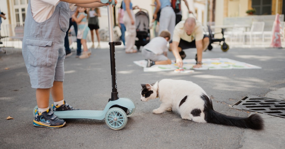cover Neighbourhood event opens up streets for community