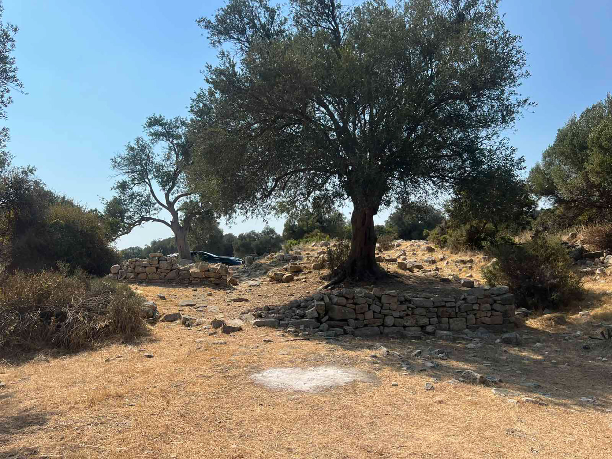 cover Body found in Paphos state forest