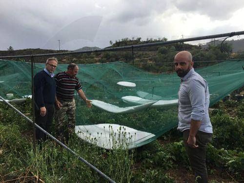 cover Organic farming reaches 8.6 per cent of cultivated land in Cyprus