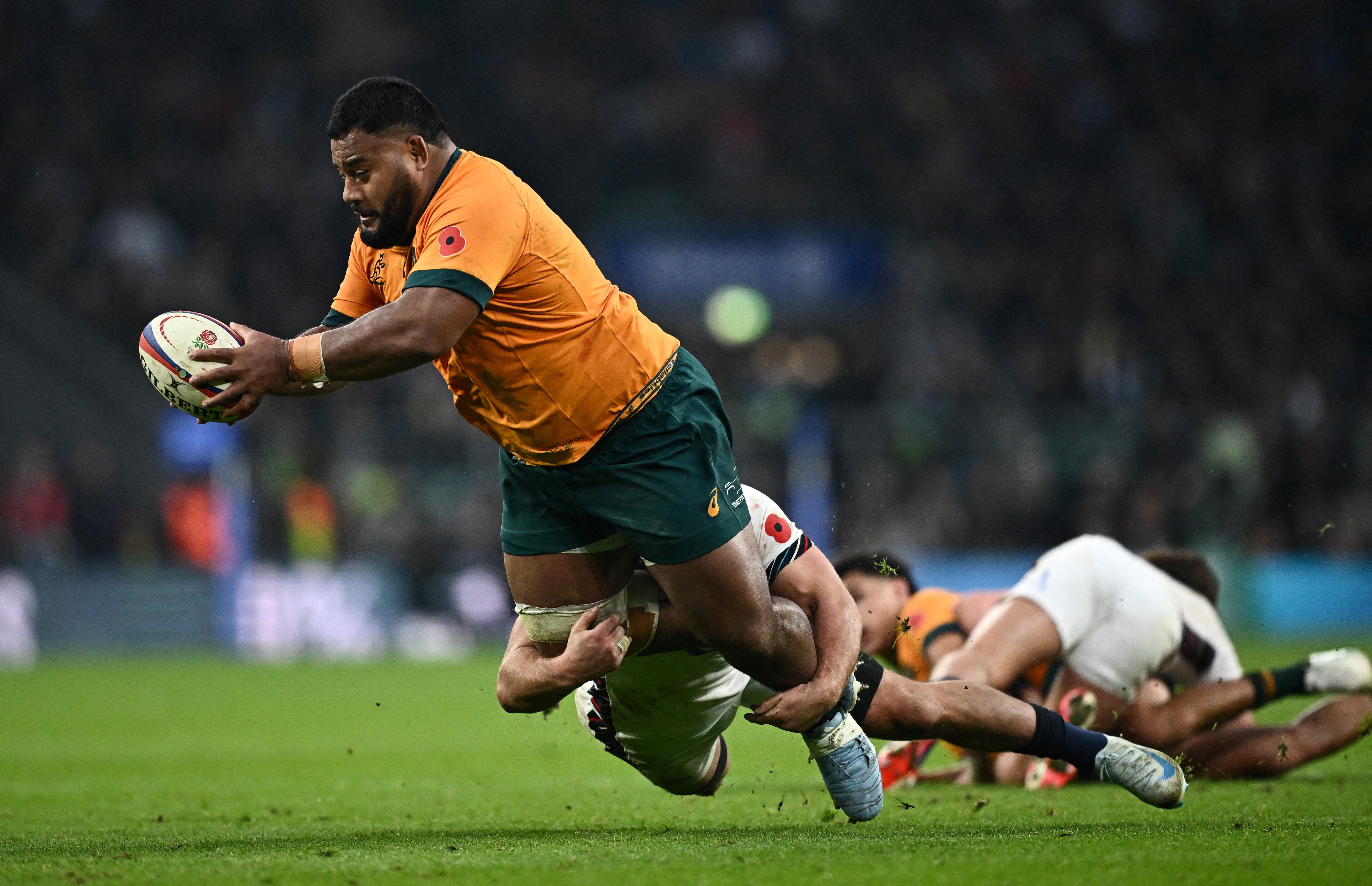 cover Wallabies ready to test themselves against the best in Springboks clash