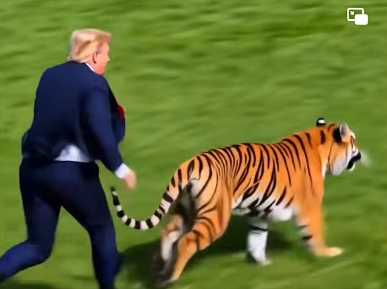 image Family of UK tiger attack victim urges end to video sharing after Trump posts footage