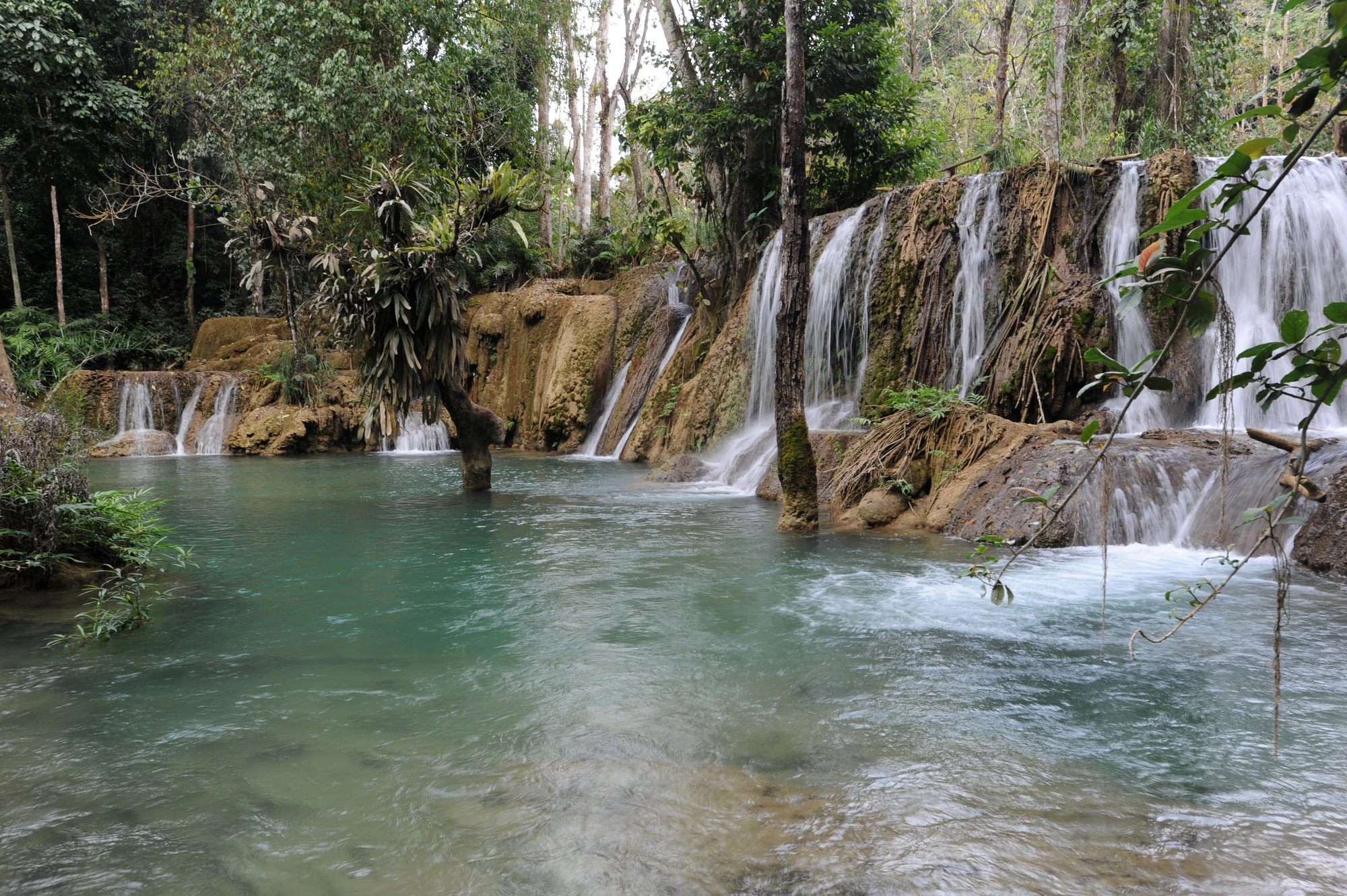 cover World falling behind on nature protection goals, UN warns
