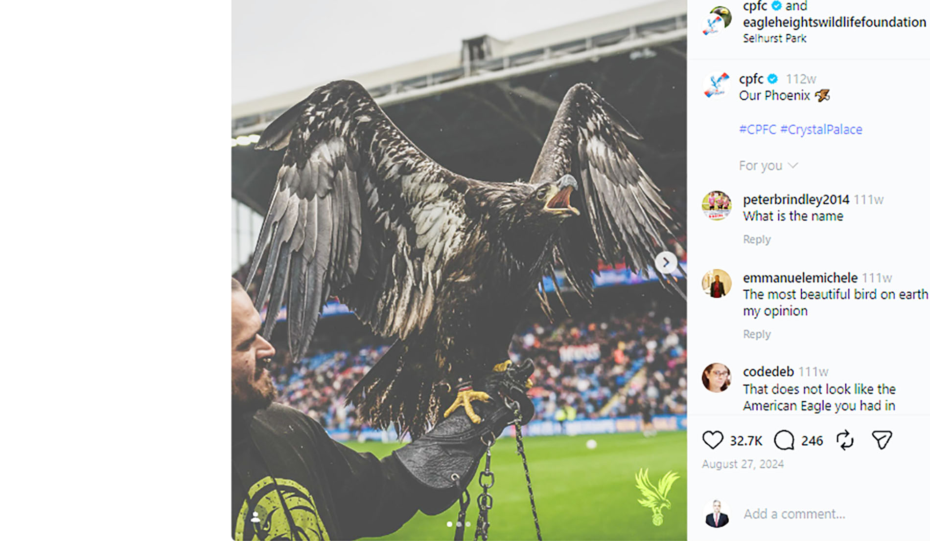 cover Crystal Palace to retire bald eagle mascot Phoenix