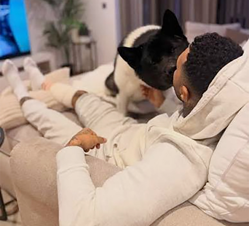 cover Former Arsenal forward Pennant saved by his dog after German Shepherd attack