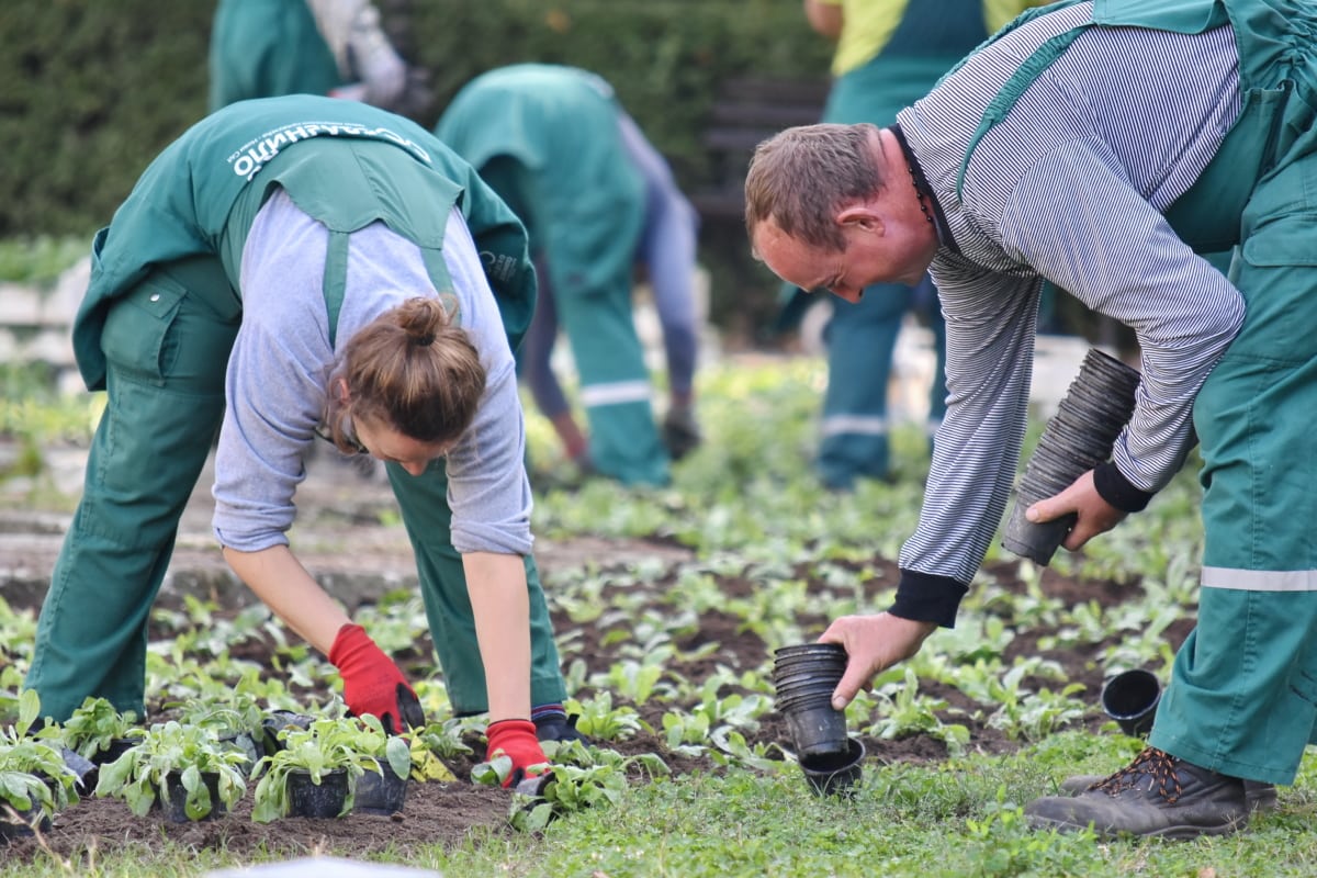 cover Women manage just 6.5 per cent of Cyprus farmland