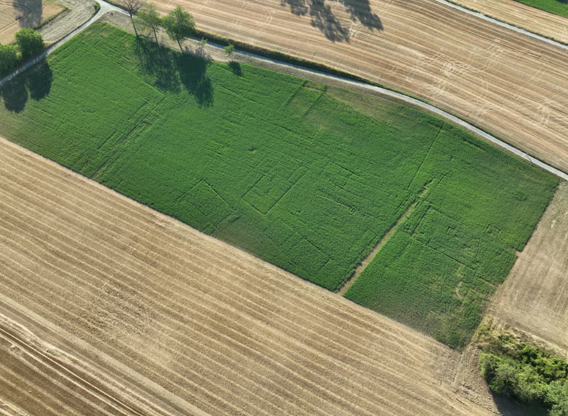 cover Swiss archaeologists redraw Roman maps after drought discoveries